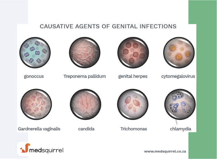 Diseases Passed By Oral Sex